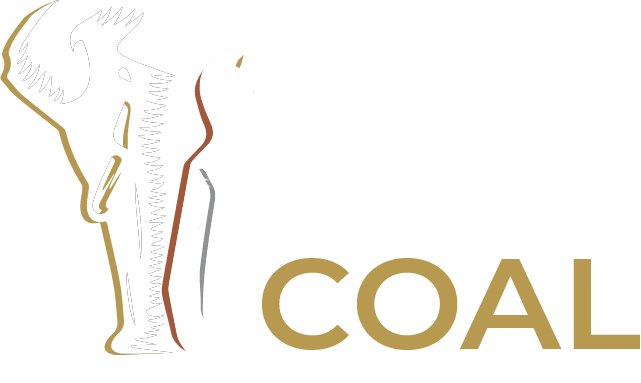Tlou Mining Services
